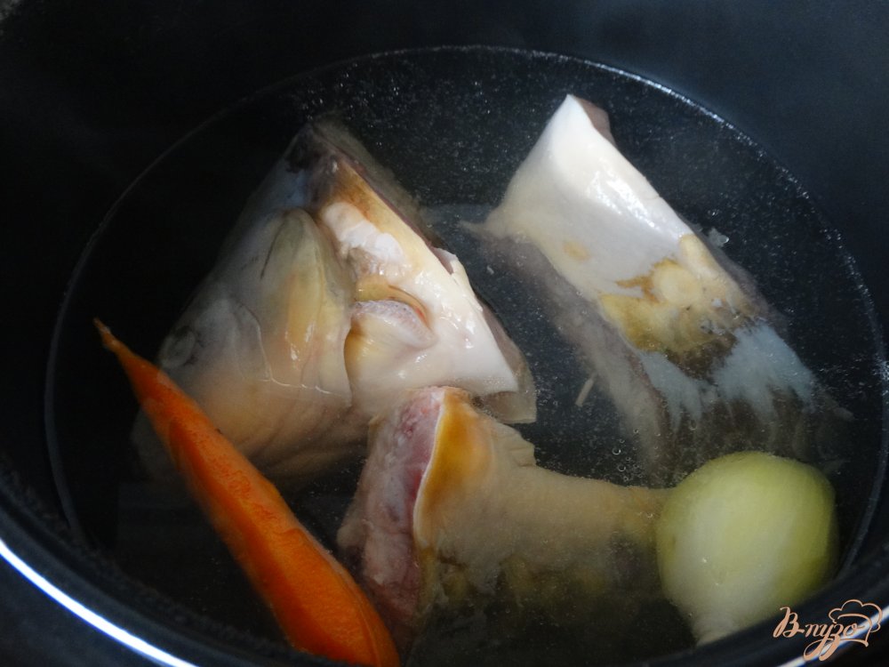 Как засолить карпа в домашних условиях вкусно и быстро Как засолить карпа в домашних условиях вкусно и быстро