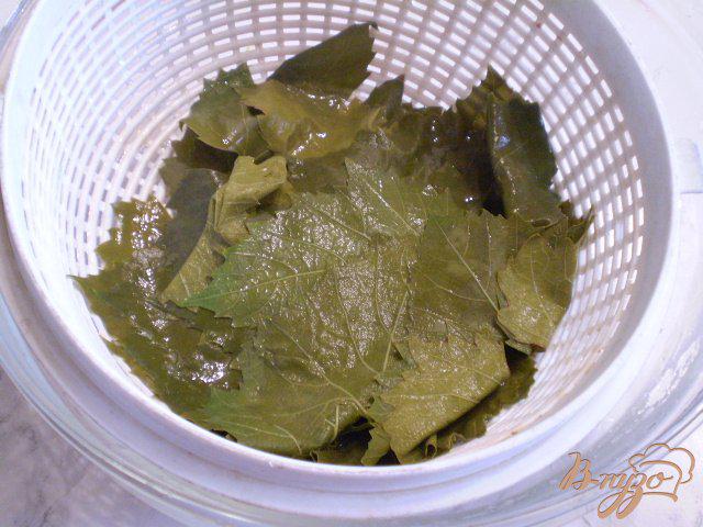 Сухие виноградные листья как использовать для долмы. Сухие виноградные листья как использовать для долмы. Виноградные листья для долмы консервированные. Листья винограда для долмы. Сухие виноградные листья как использовать для долмы.