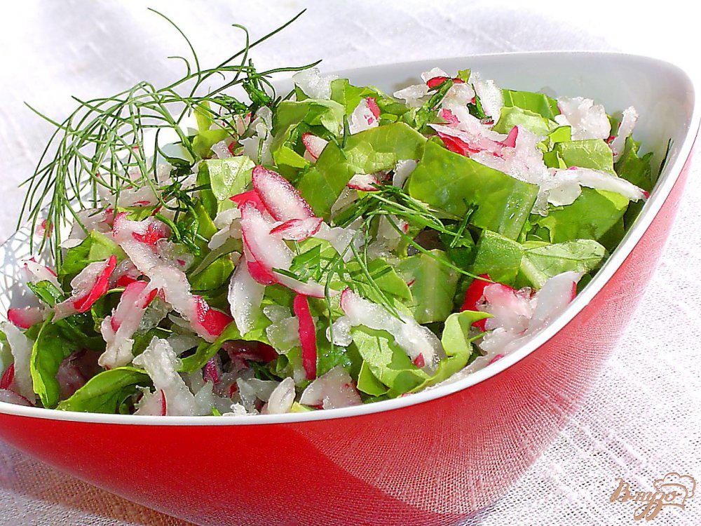 Вкусный рецепт салата из редиски