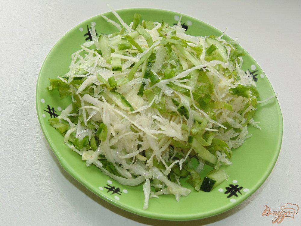Огурец сельдерей капуста. Салат в капустном листе. Салат с капустой и огурцом. Салат из капусты с зеленью. Салат смкапустоц и огурцом.