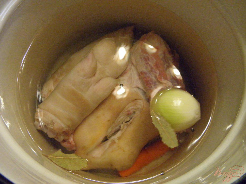 Как приготовить холодец из свиных ножек и рульки рецепт с фото пошагово