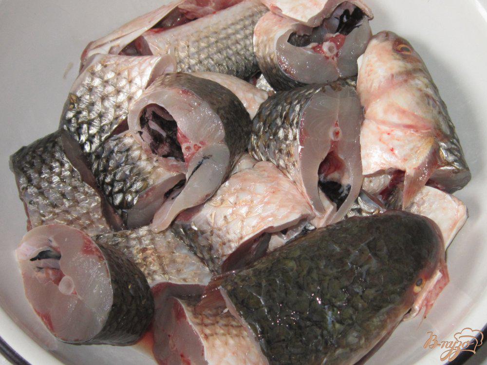 Пеленгас рыба что за рыба фото