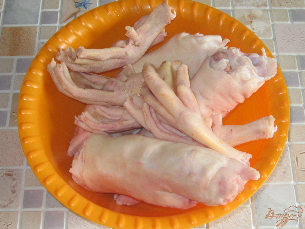 Холодец из куриных ножек рецепт с фото пошагово