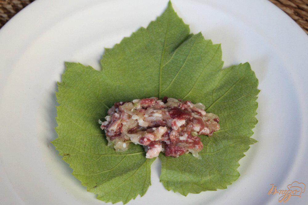 Блюдо из виноградных листьев с фаршем название рецепт с фото