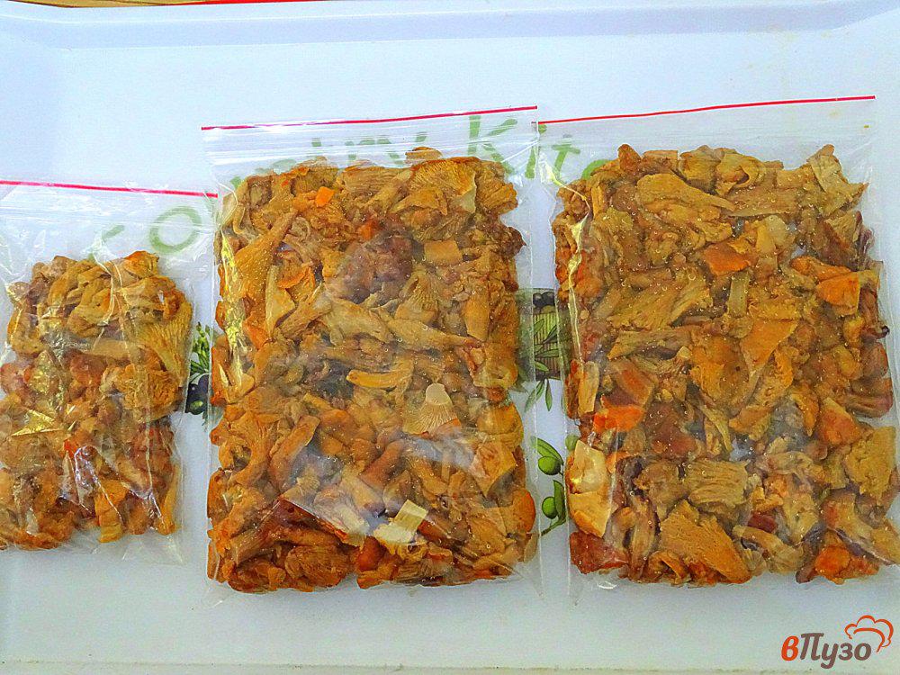 Лисички в морозилку на зиму. Лисички мороженные. Можно ли замораживать лисички. Лисички на заморозку. Заморозить лисички на зиму свежими в морозилке.