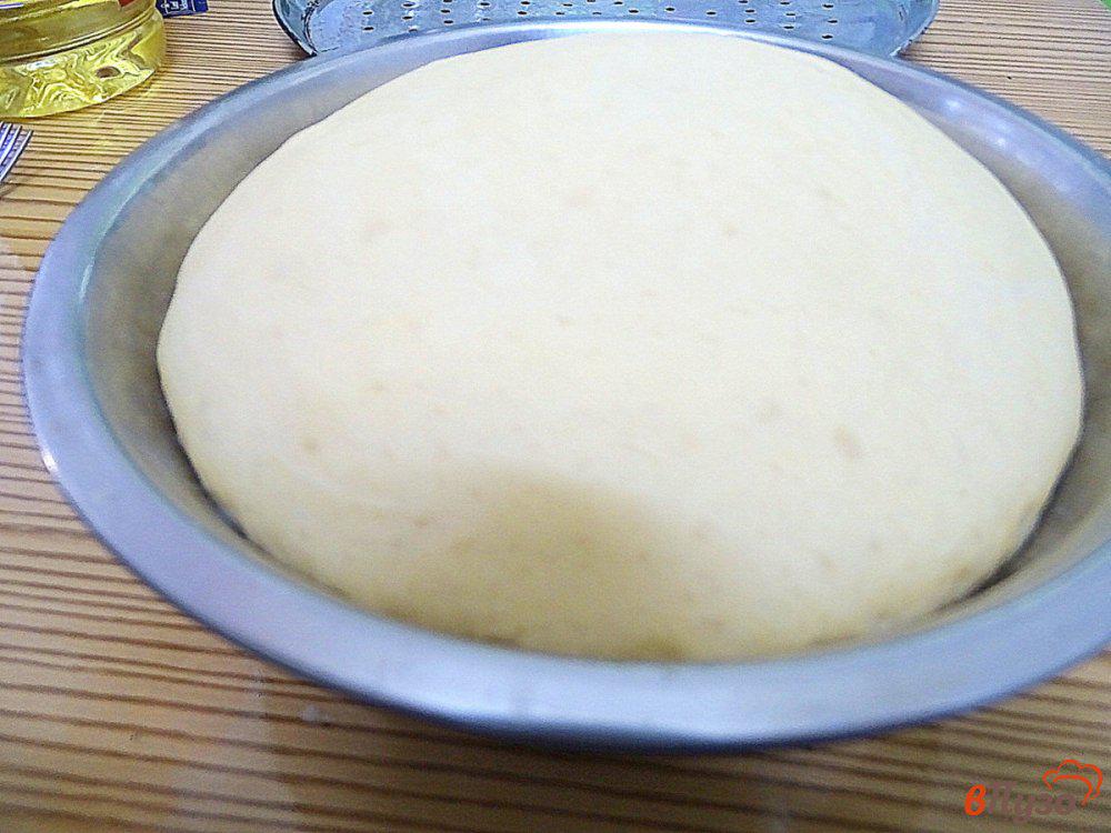 Тесто для Берека. Как делают тесто для Юхи. Как заморозить тесто для пиццы в форме шара. Какое тесто можно замораживать. Можно заморозить готовое тесто