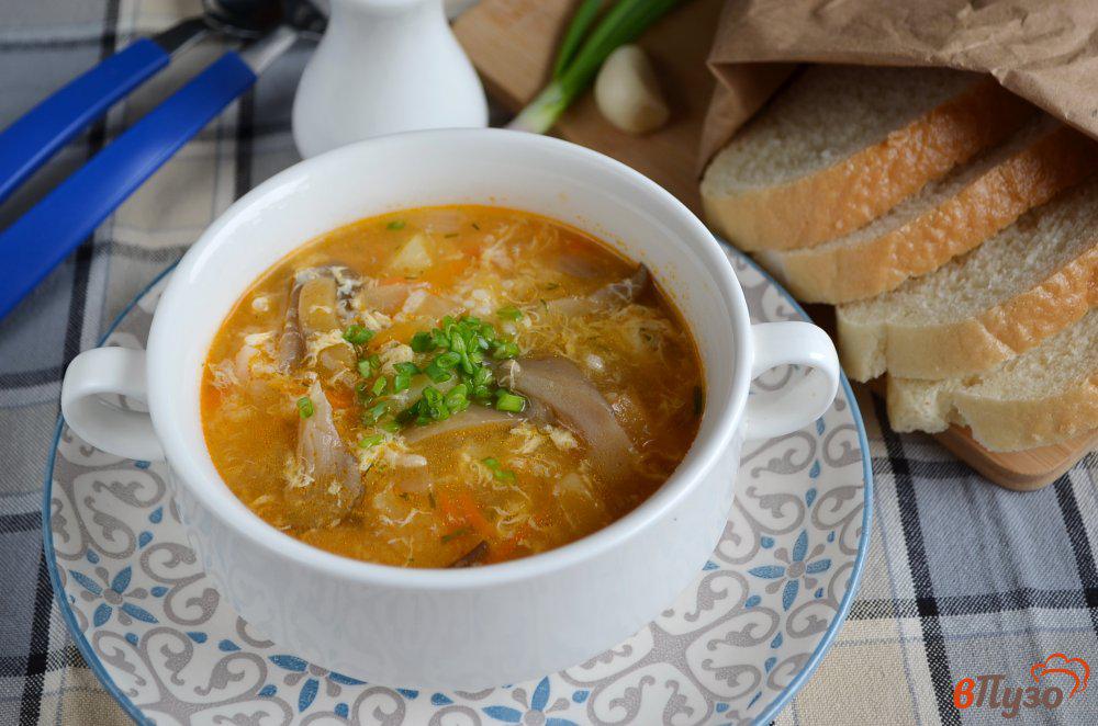 Вкусный суп с вешенками рецепт. Суп с вешенками. Суп из вешенок. Грибной бульон с яйцом. Суп грибной из вешенок и свинины.