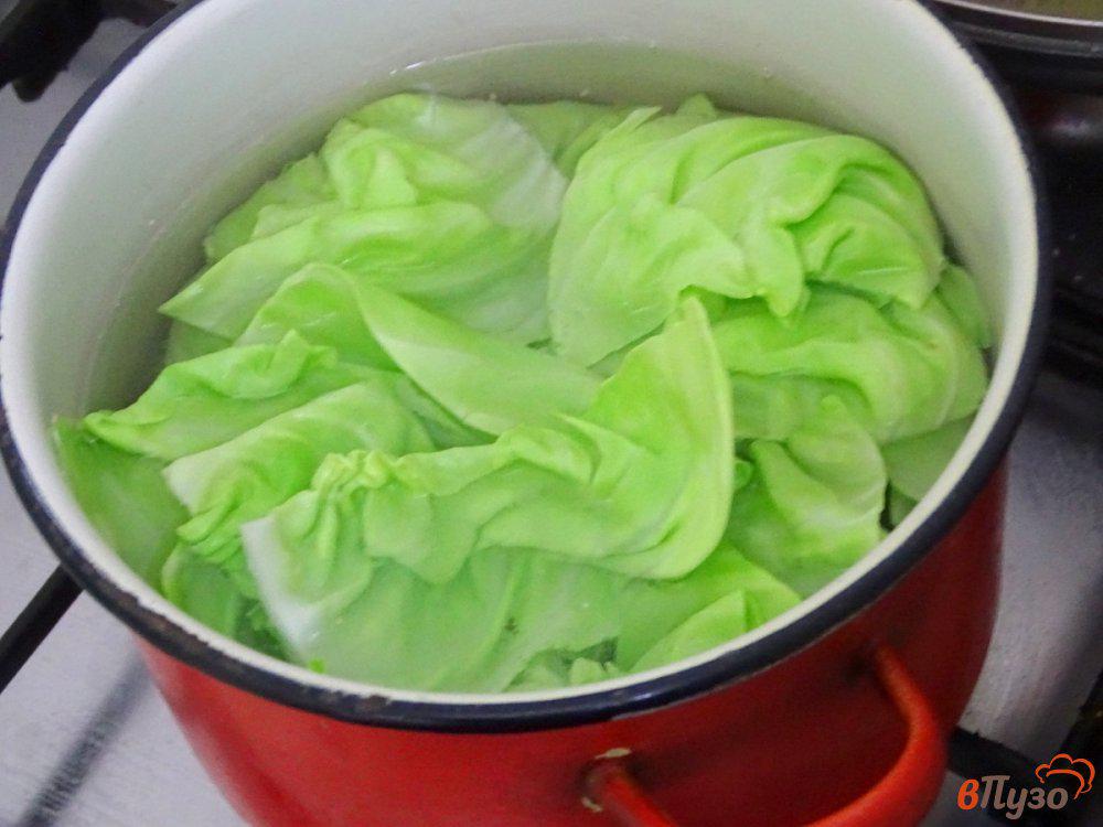 Капустные листья в кляре рецепт с фото пошаговый