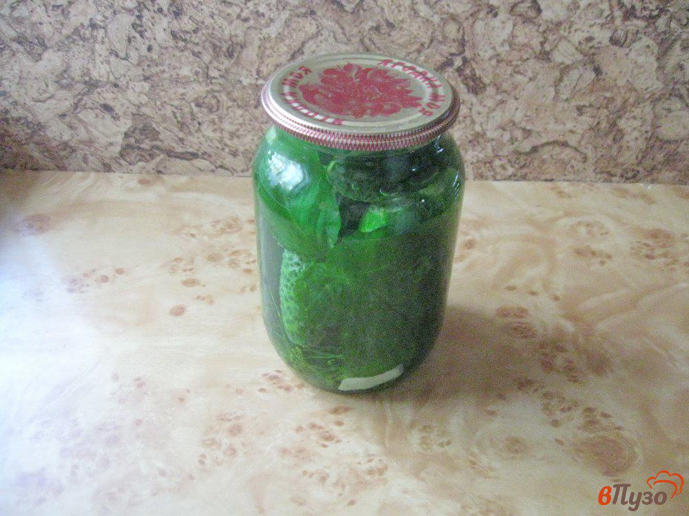 Огурцы с базиликом на зиму самый вкусный. Можно ли в маринованные огурцы положить базилик.