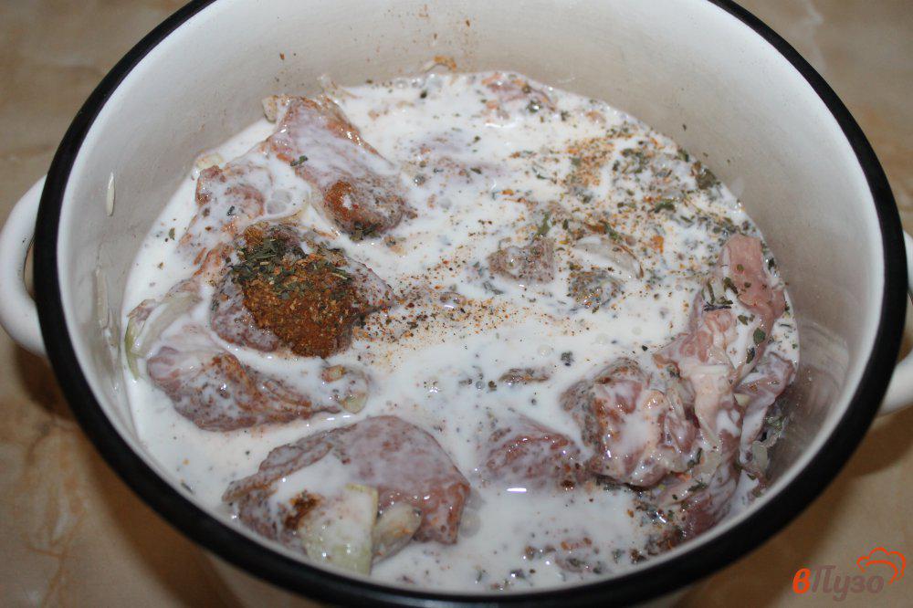 Маринад для шашлыка на кефире из свинины рецепт с фото пошагово в домашних условиях