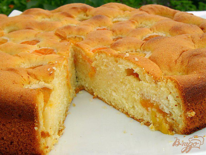 Пирог с консервированным манго рецепт пошагово с фото