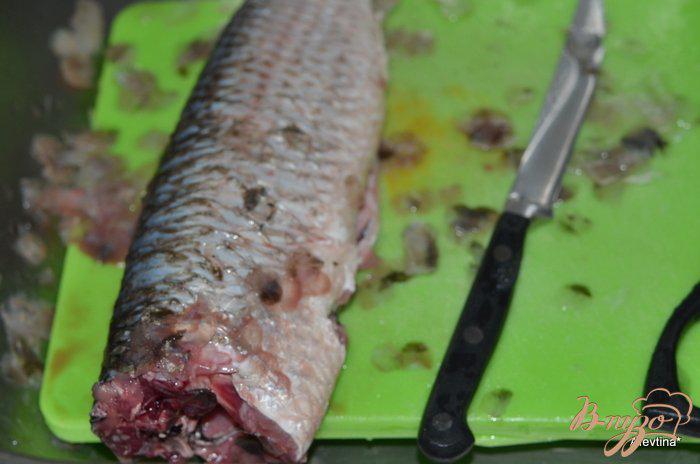 Кефаль в духовке в фольге. Кефаль рыба копченая. Как чистить кефаль. Кефаль соленая. Кефаль мясо.