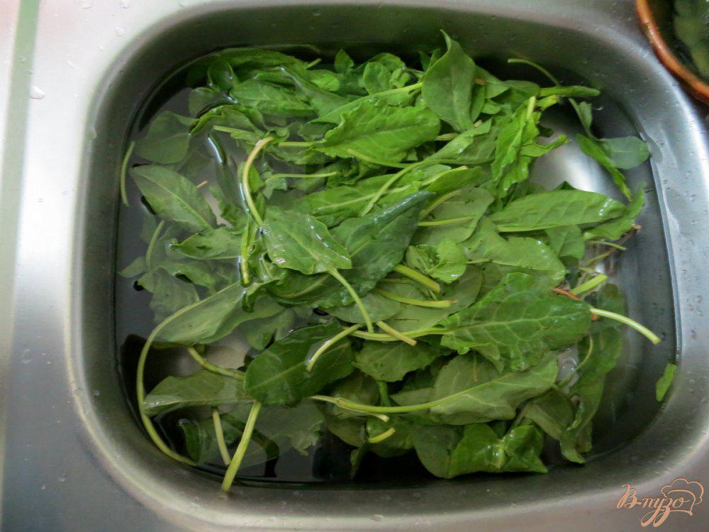 Как выглядит пучок щавеля 200 г. Как заваривать щавель. Щавель домашний. Варенье из щавеля. Как заваривать щавель.