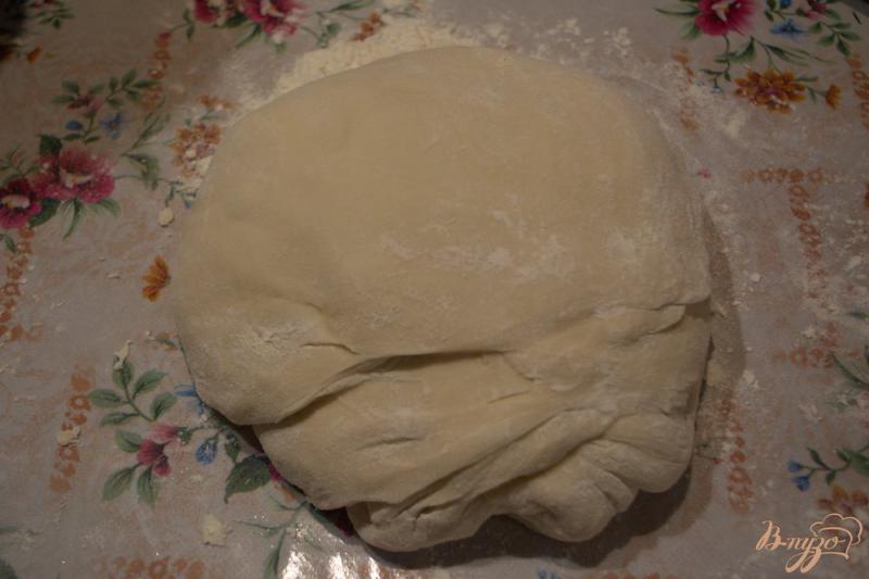 Фото приготовление рецепта: Вкусные пирожки из дрожжевого теста с капустной начинкой шаг №3