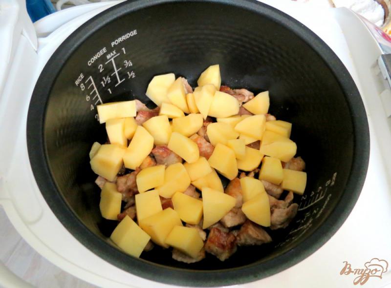 Фото приготовление рецепта: Рагу с фасолью и свининой в мультиварке шаг №7