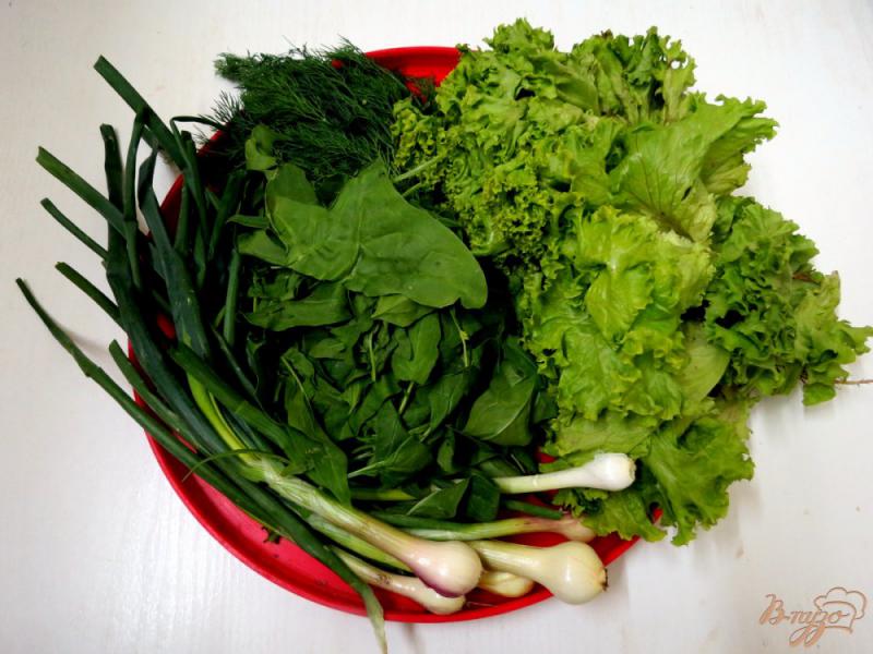 Фото приготовление рецепта: Зелёный витаминный салат шаг №1
