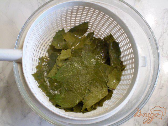 Фото приготовление рецепта: Замороженные виноградные листья шаг №3