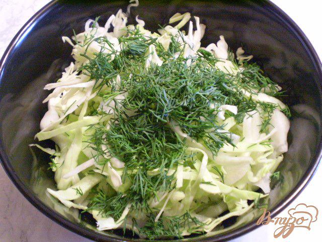 Фото приготовление рецепта: Салат из молодой капусты с укропом и уксусом шаг №4