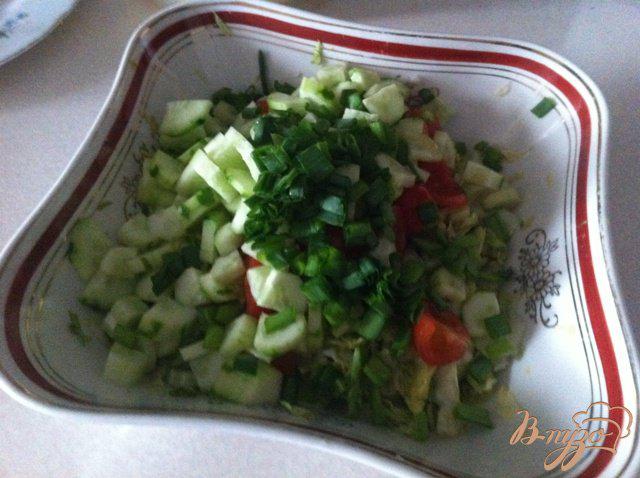 Фото приготовление рецепта: Салат из молодой капусты с овощами шаг №5