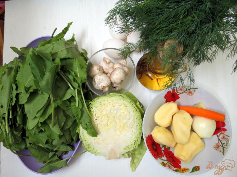 Фото приготовление рецепта: Щавелевый суп с грибами и капустой шаг №1