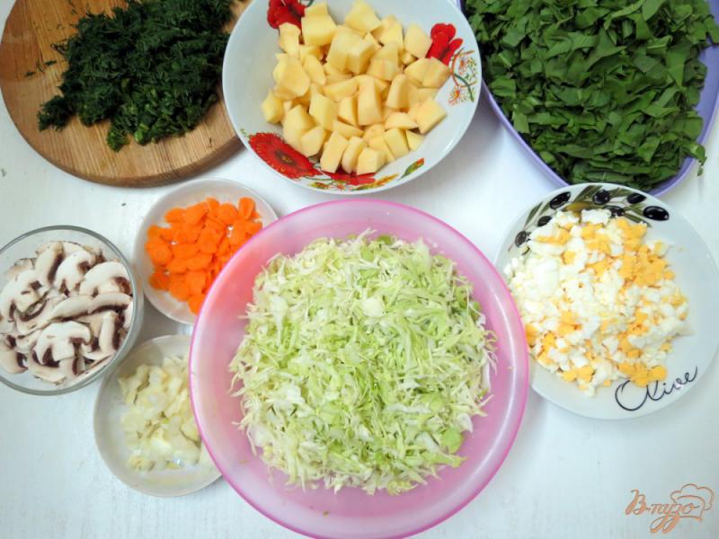 Фото приготовление рецепта: Щавелевый суп с грибами и капустой шаг №2