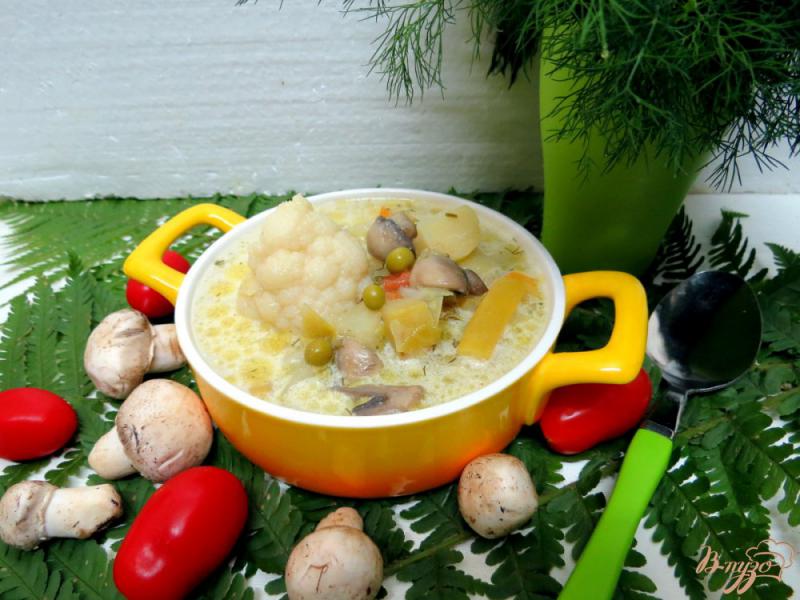 Фото приготовление рецепта: Овощной суп с шампиньонами шаг №12
