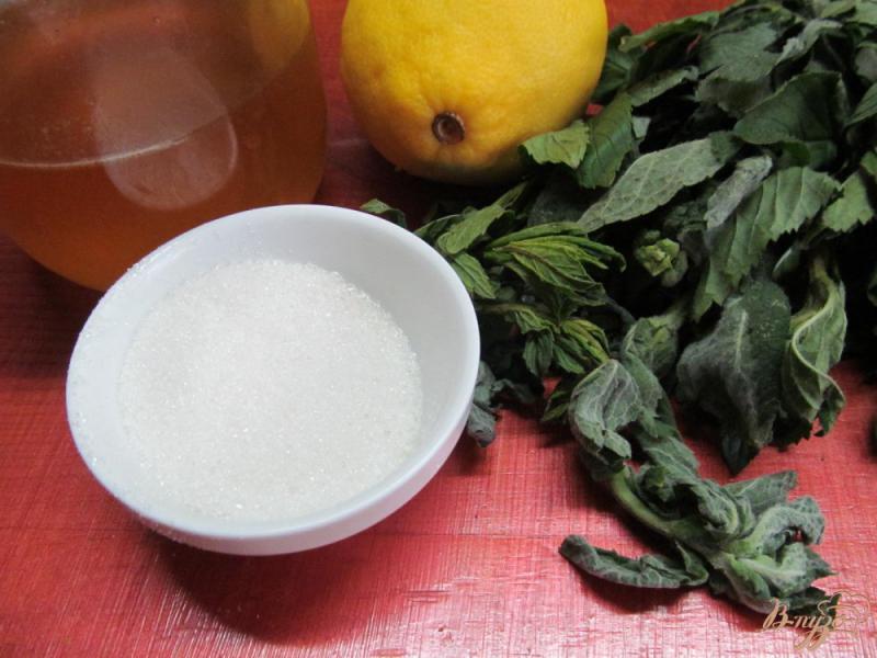 Фото приготовление рецепта: Лимонный напиток с мятой шаг №1