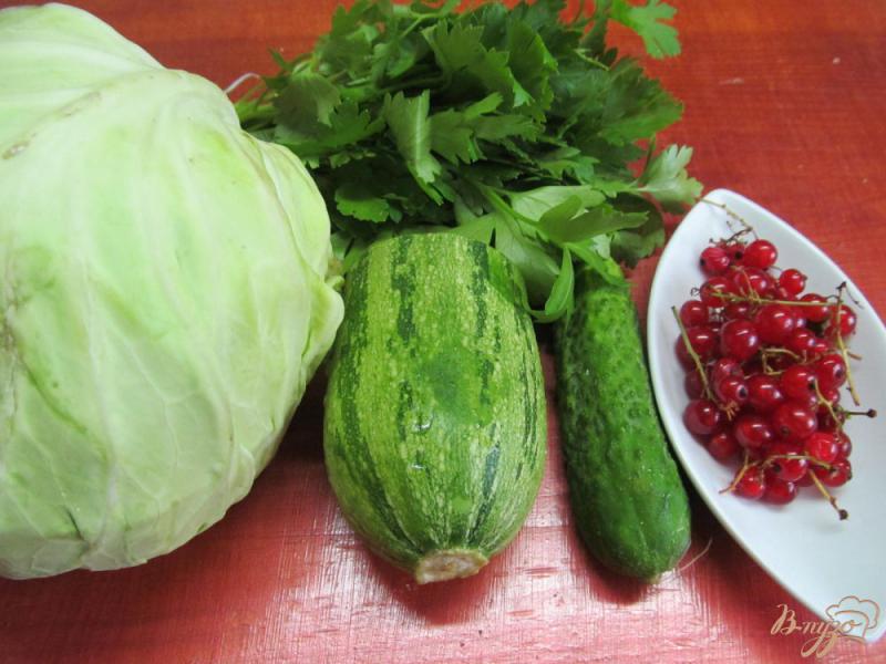 Фото приготовление рецепта: Салат из капусты  кабачка и красной смородины шаг №1