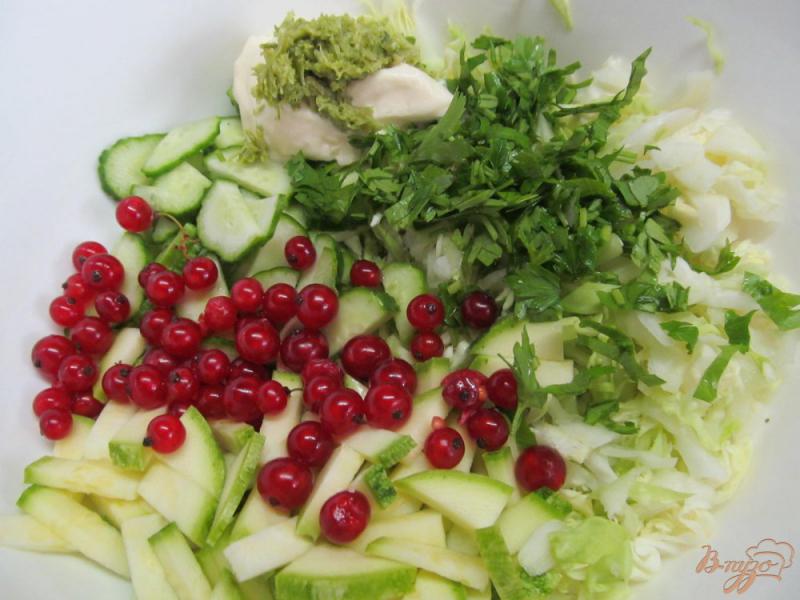 Фото приготовление рецепта: Салат из капусты  кабачка и красной смородины шаг №2