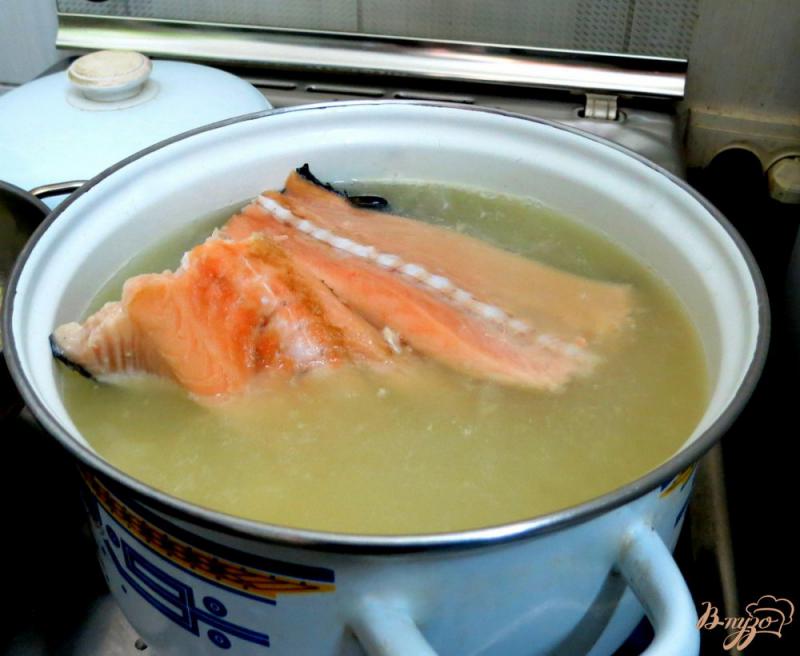 Фото приготовление рецепта: Суп из хребтов лосося со сливками шаг №4