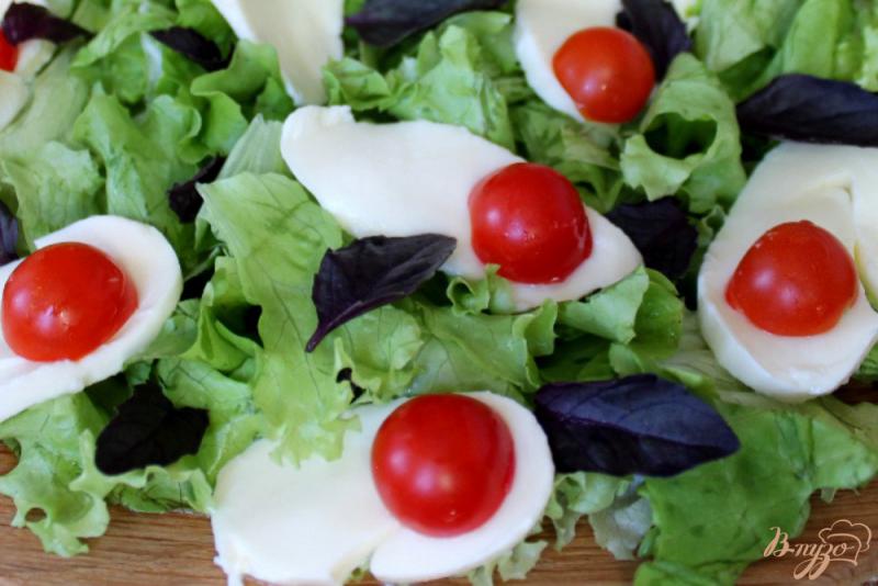 Фото приготовление рецепта: Салат с моцареллой и помидорами черри шаг №4