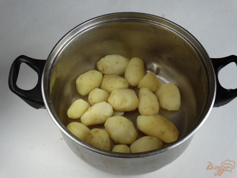 Фото приготовление рецепта: Молодой картофель по-украински с салом шаг №2