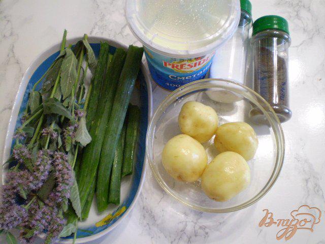 Фото приготовление рецепта: Теплый картофельный салат с луком и мелиссой шаг №1