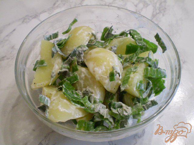 Фото приготовление рецепта: Теплый картофельный салат с луком и мелиссой шаг №8