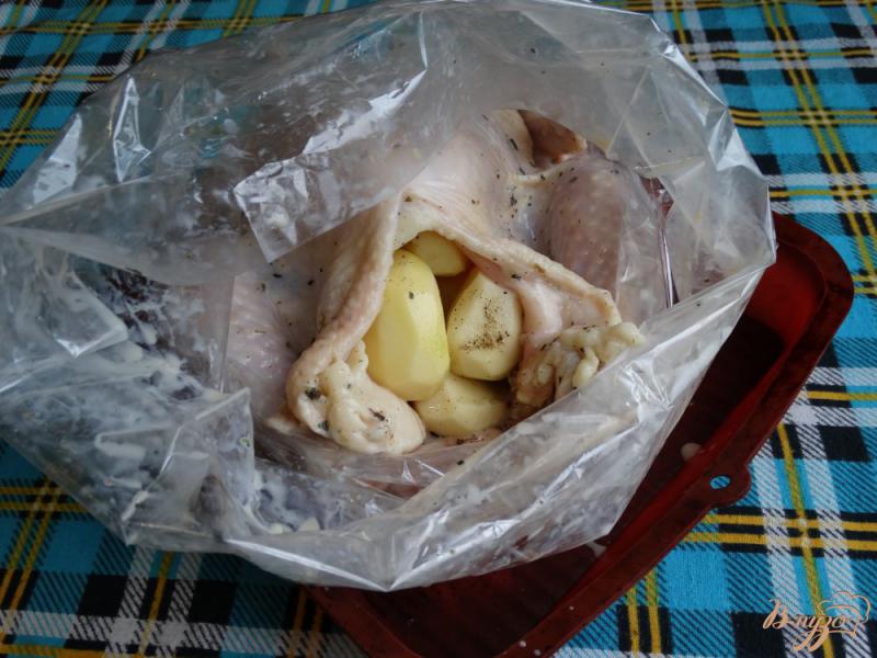 Фото приготовление рецепта: Курица в кефирно-пряном маринаде шаг №7