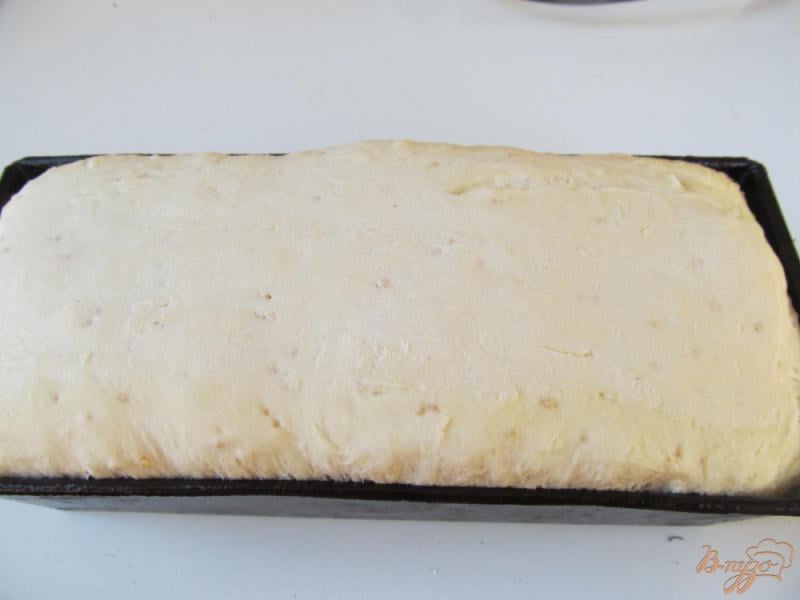 Фото приготовление рецепта: Хлеб на сыворотке с семенами горчицы шаг №5