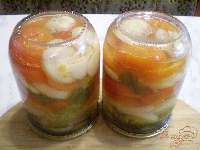 Фото приготовление рецепта: Салат из помидоров с луком и чесноком шаг №7