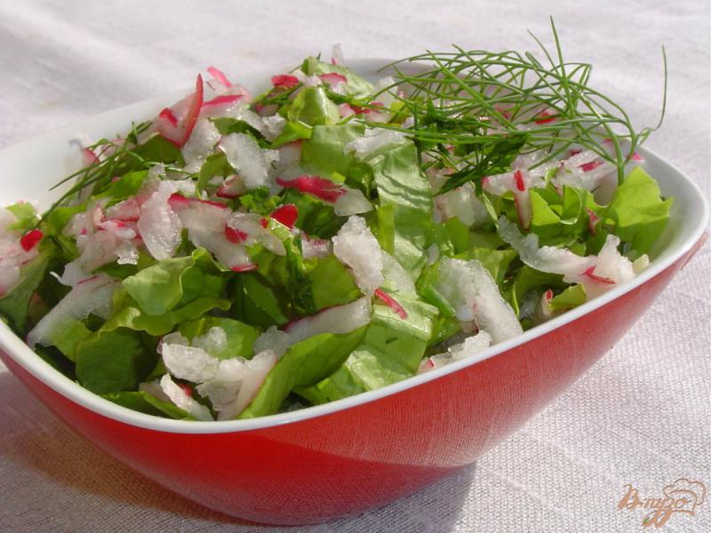 Фото приготовление рецепта: Салат из редиса и салатных листьев шаг №4