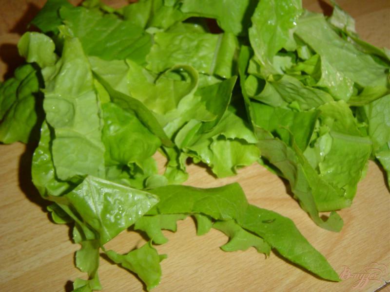 Фото приготовление рецепта: Салат из огурцов, лука и салатных листьев шаг №1