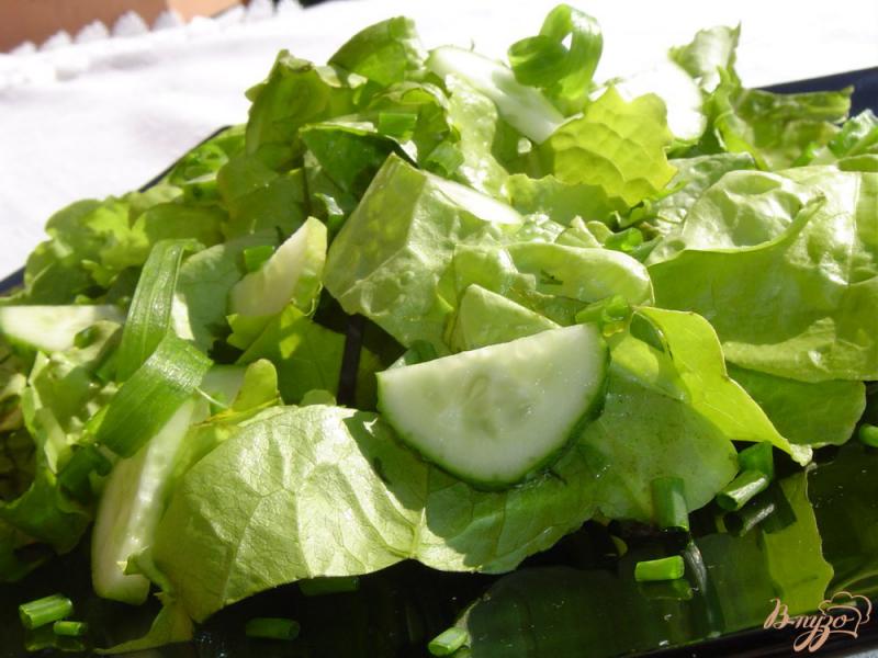 Фото приготовление рецепта: Салат из огурцов, лука и салатных листьев шаг №4