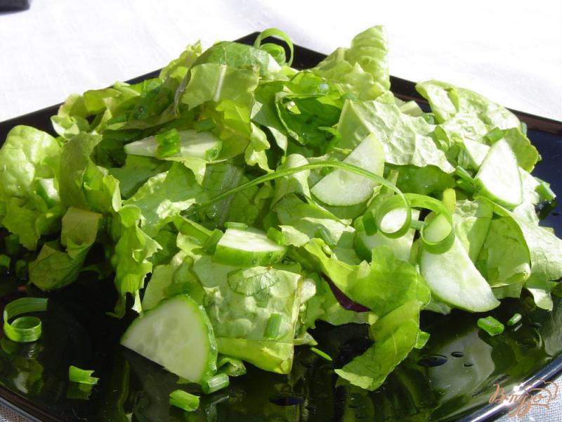 Фото приготовление рецепта: Салат из огурцов, лука и салатных листьев шаг №5