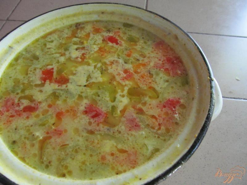 Фото приготовление рецепта: Суп из свежих овощей на свином бульоне с пшеном шаг №9