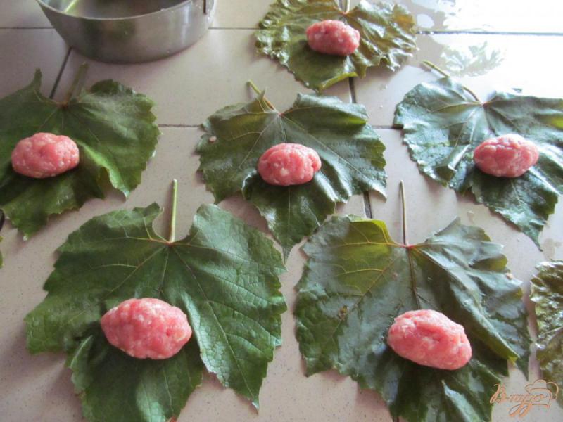 Фото приготовление рецепта: Голубцы в виноградных листьях шаг №4