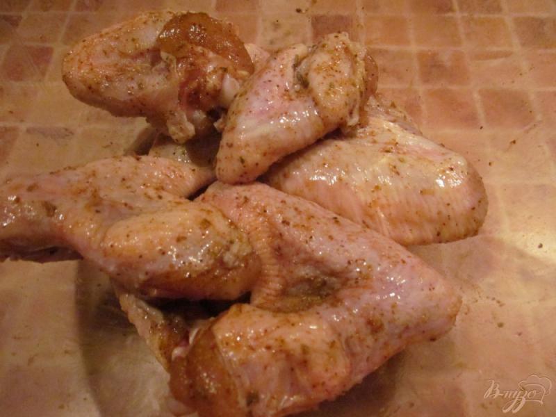 Фото приготовление рецепта: Шашлык из куриных крыльев шаг №2