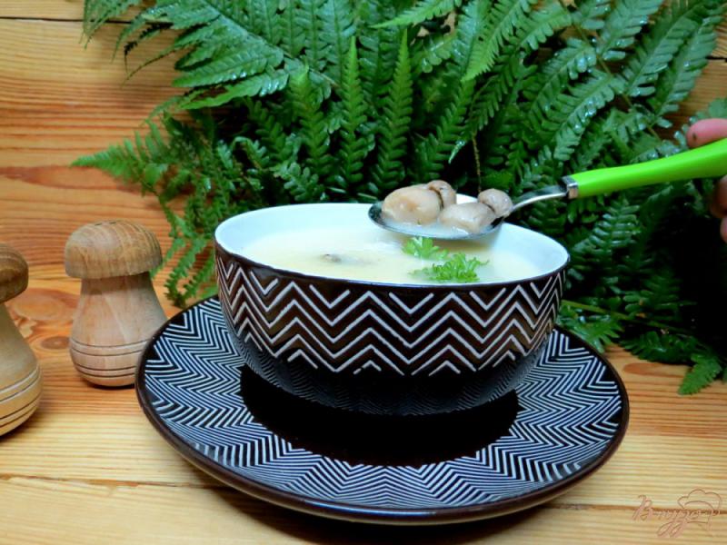 Фото приготовление рецепта: Суп пюре с белыми грибами шаг №6