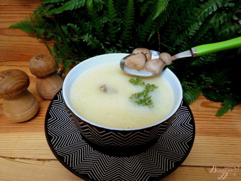 Фото приготовление рецепта: Суп пюре с белыми грибами шаг №7