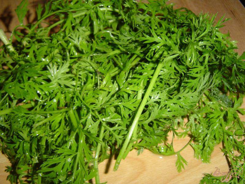 Фото приготовление рецепта: Помидоры с листьями моркови шаг №1