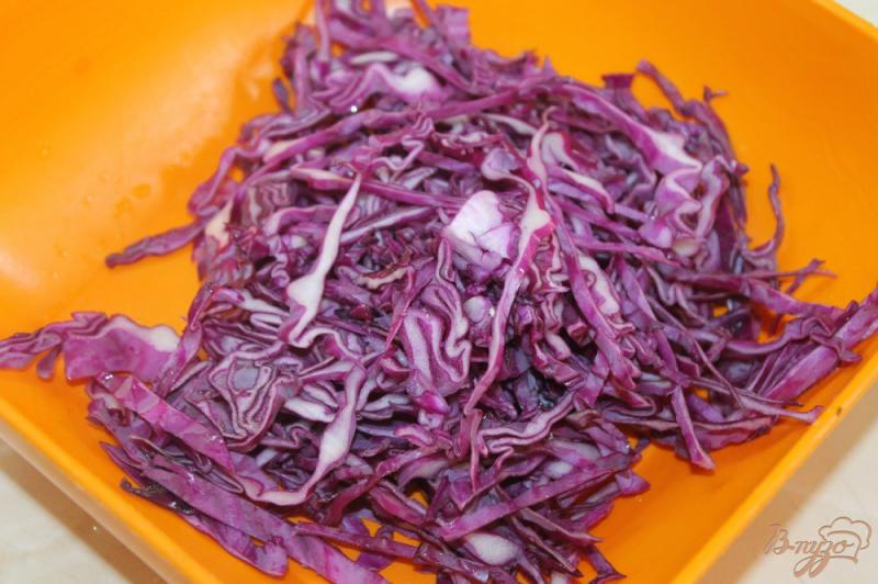 Фото приготовление рецепта: Салат по - деревенски из краснокочанной капусты шаг №2