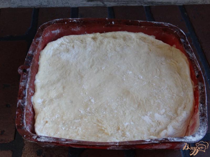 Фото приготовление рецепта: Пицца с фаршем шаг №2