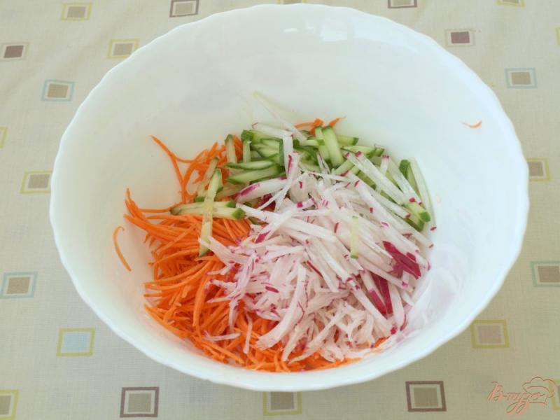Фото приготовление рецепта: Овощной салат с редисом и сырой морковью шаг №2
